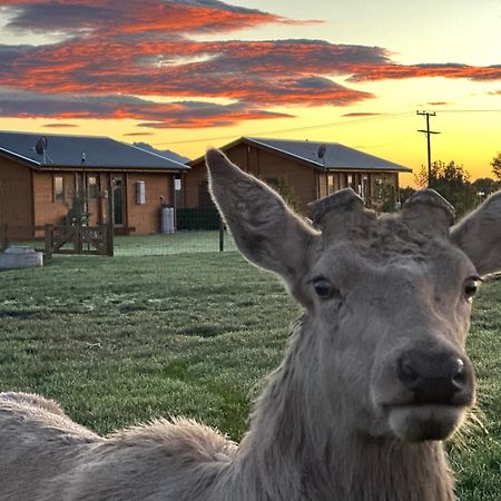 Deerbrooke Kaikoura Chalets - Chalet 2 Dış mekan fotoğraf