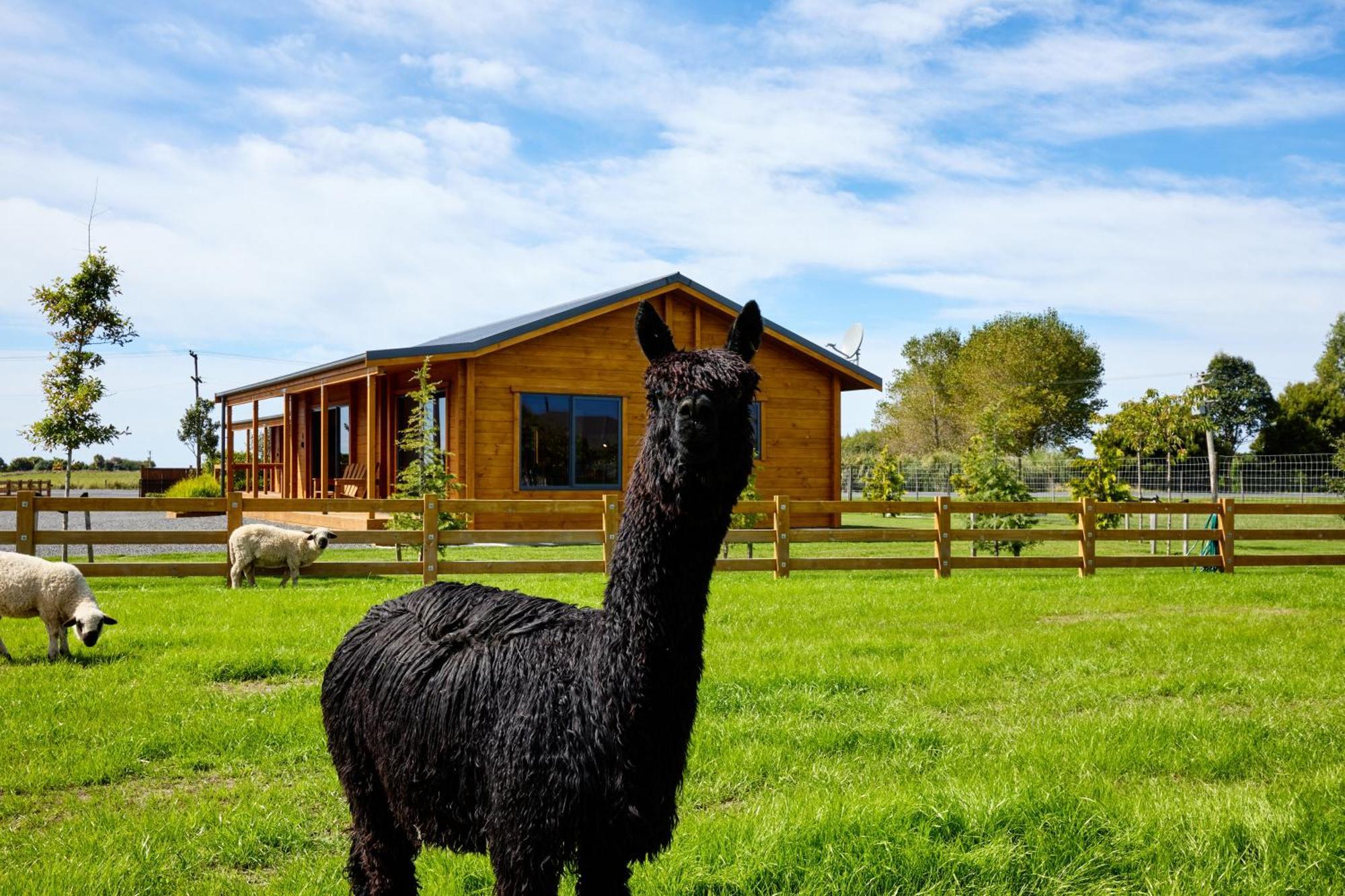 Deerbrooke Kaikoura Chalets - Chalet 2 Dış mekan fotoğraf